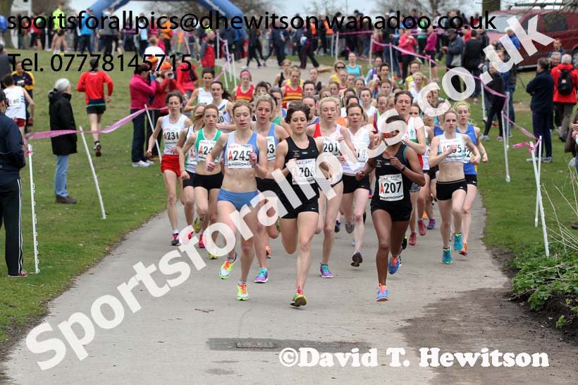 Start of the National 6 Stage Relay, National 12 and 6 Stage Relays, Sutton Park, Birmingham. Photo: David T. Hewitson/Sports for All Pics